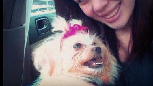 Kimberly  Dog boarding, Pet Boarding, Dog Walking and Pet Sitting.