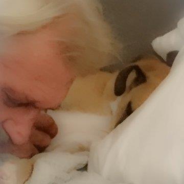 TANYA Pet hotel experience in real homes! 8