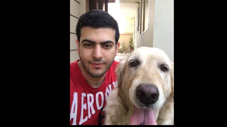 Sushain Dog boarding, Pet Boarding, Dog Walking and Pet Sitting.