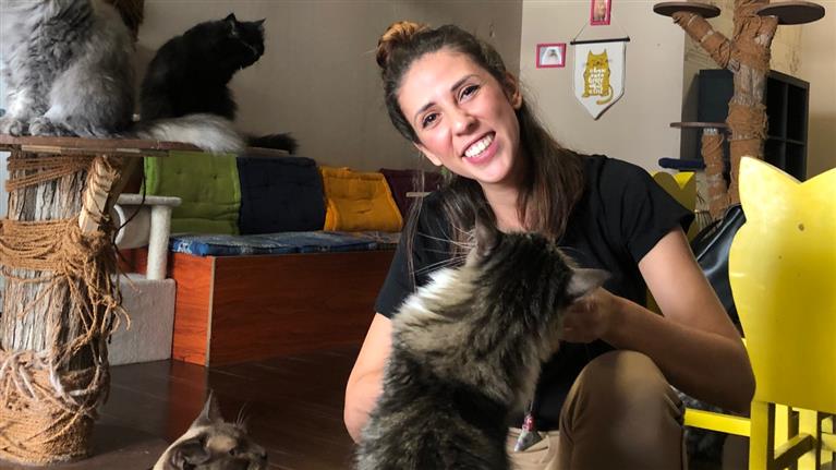 Debora Dog boarding, Pet Boarding, Dog Walking and Pet Sitting.
