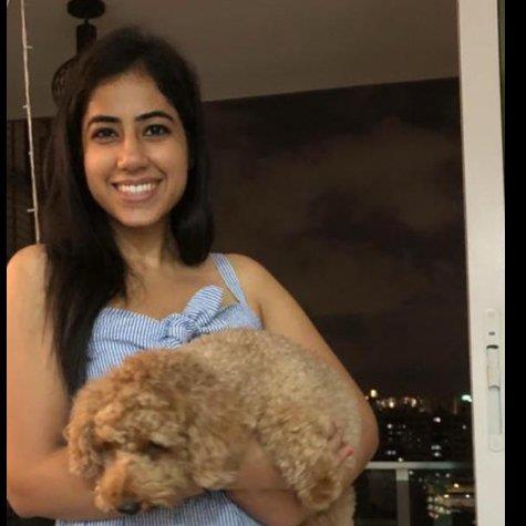 Radhika Pet hotel experience in real homes! 1