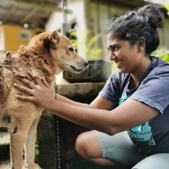 Chathuni Pet hotel experience in real homes! 3
