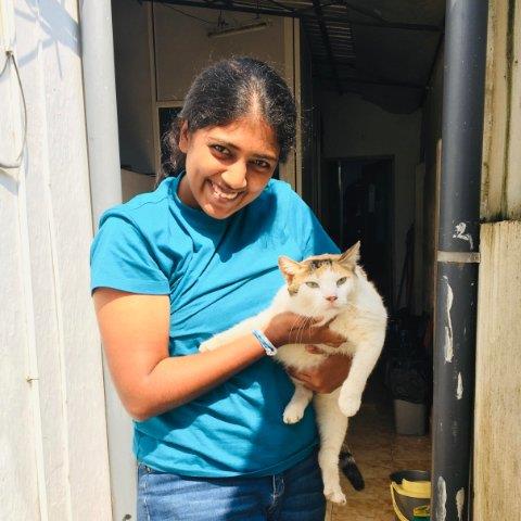Chathuni Pet hotel experience in real homes! 4