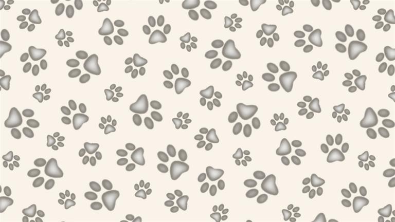 Teresa Dog boarding, Pet Boarding, Dog Walking and Pet Sitting.