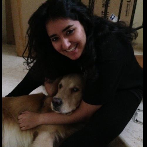 Niharika Pet hotel experience in real homes! 2