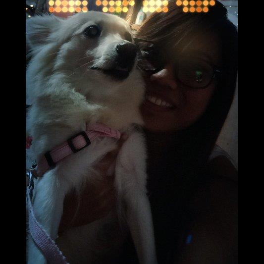 Sheryl Pet hotel experience in real homes! 2