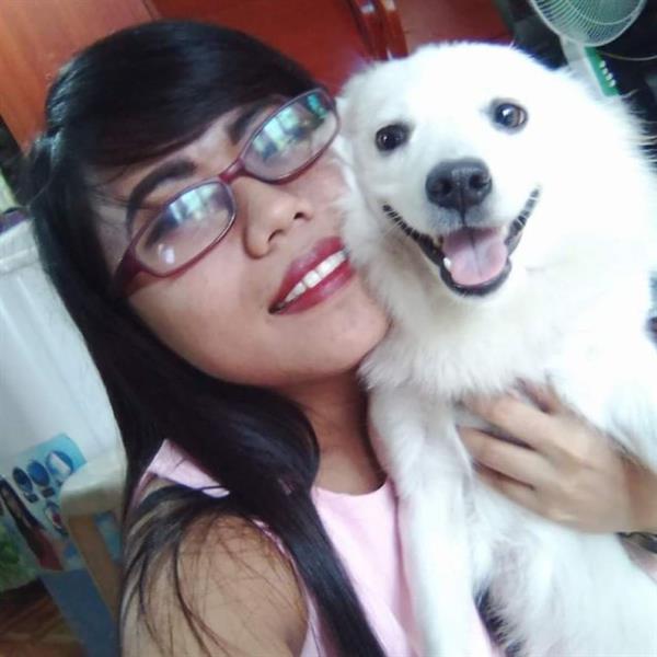 Sheryl Pet hotel experience in real homes! 3
