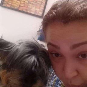 Dina Pet hotel experience in real homes! 1