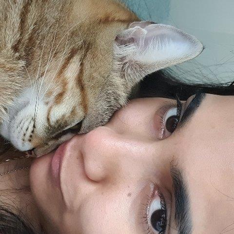 Prashanthi Pet hotel experience in real homes! 2