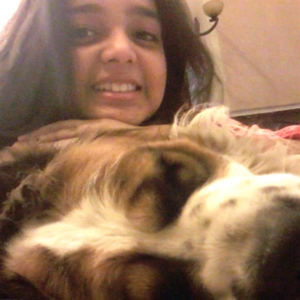 Riddhima Pet hotel experience in real homes! 1