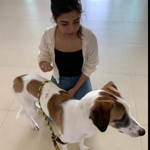 Riddhima Pet hotel experience in real homes! 2