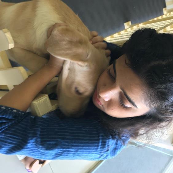 Riddhima Pet hotel experience in real homes! 3