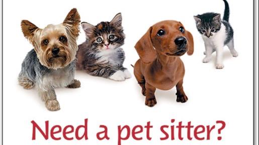 هيا  Dog boarding, Pet Boarding, Dog Walking and Pet Sitting.