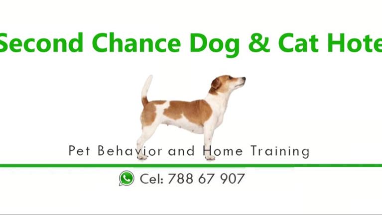 Charlie Dog boarding, Pet Boarding, Dog Walking and Pet Sitting.