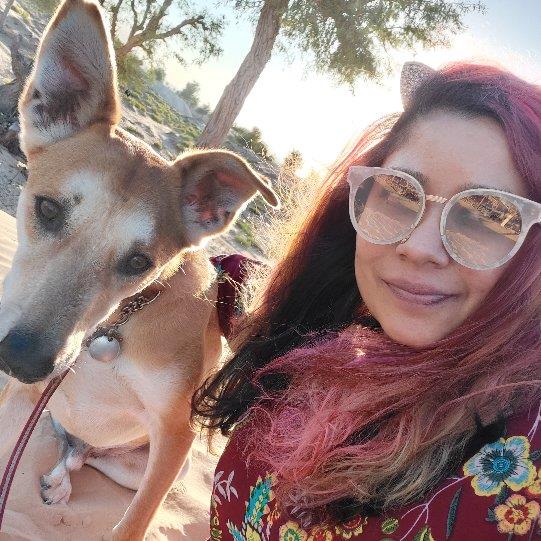 Akanksha Pet hotel experience in real homes! 1