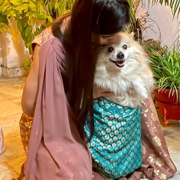 Aarohi Pet hotel experience in real homes! 2