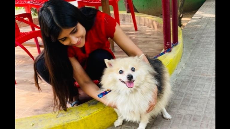 Aarohi Dog boarding, Pet Boarding, Dog Walking and Pet Sitting.