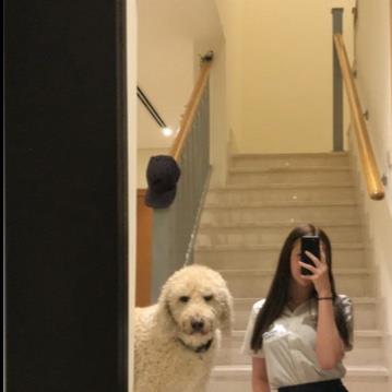 Sophia  Pet hotel experience in real homes! 2