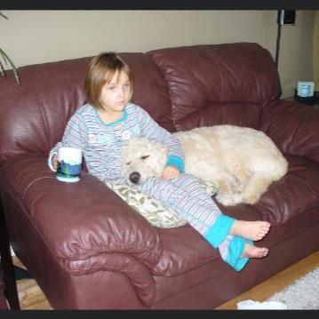 Sophia  Pet hotel experience in real homes! 3