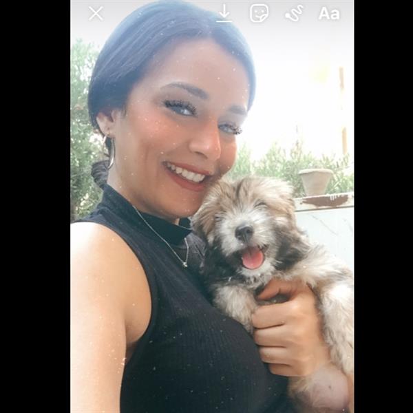Rana Pet hotel experience in real homes! 7