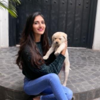 Maham Pet hotel experience in real homes! 1