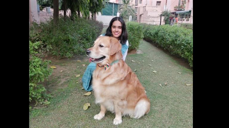 Pallavi Dog boarding, Pet Boarding, Dog Walking and Pet Sitting.