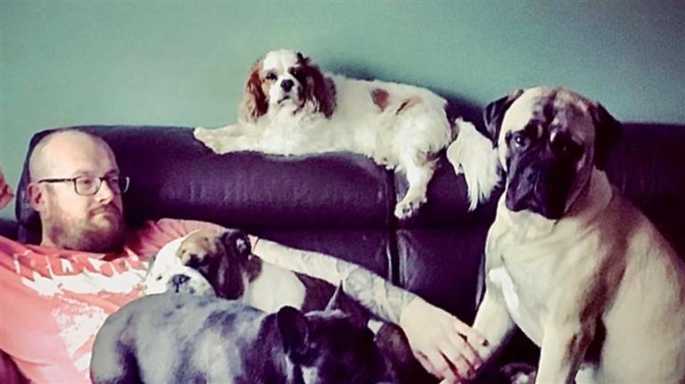 dan Dog boarding, Pet Boarding, Dog Walking and Pet Sitting.