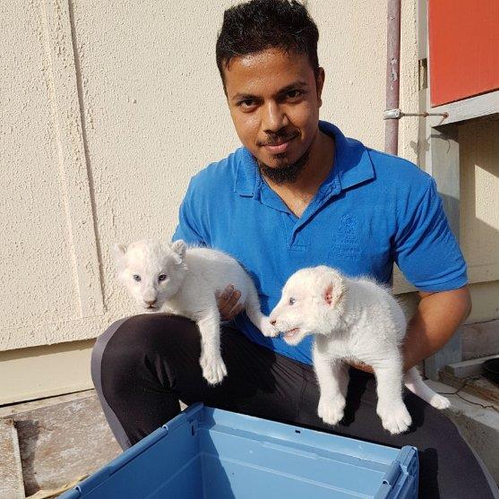 Syed Pet hotel experience in real homes! 2