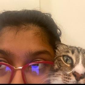 Aarushi Pet hotel experience in real homes! 1