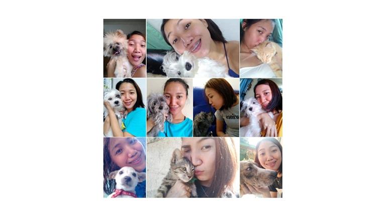 Krizza Dog boarding, Pet Boarding, Dog Walking and Pet Sitting.