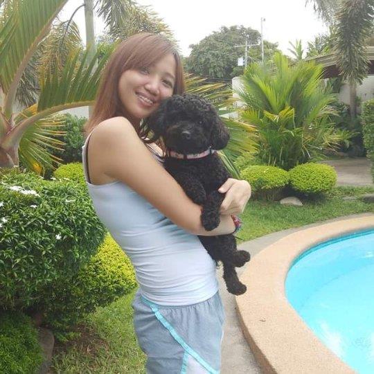 Krizza Pet hotel experience in real homes! 3