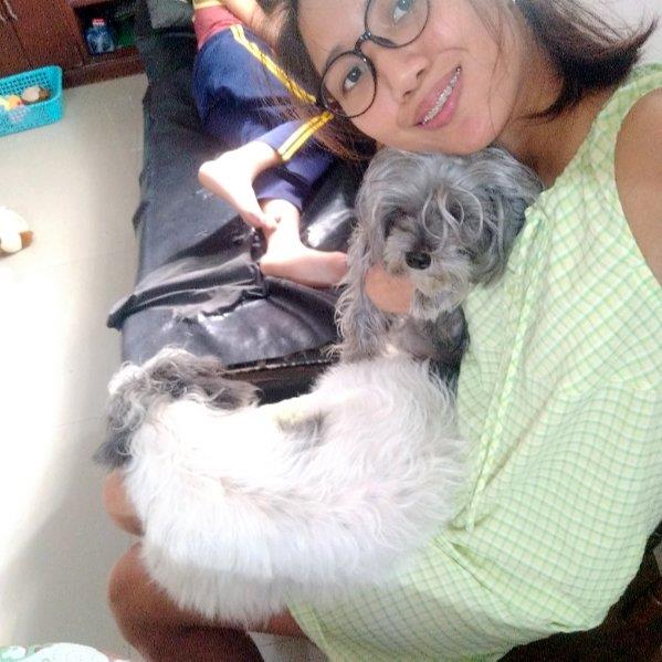 Krizza Pet hotel experience in real homes! 4