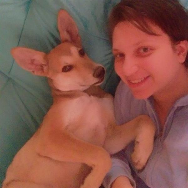 Mariam Pet hotel experience in real homes! 3
