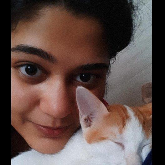 Reshma Pet hotel experience in real homes! 2
