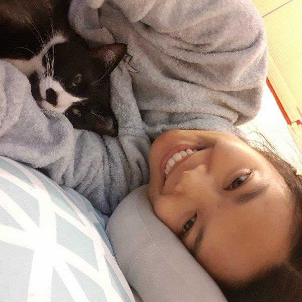 Ivy Kate Pet hotel experience in real homes! 1