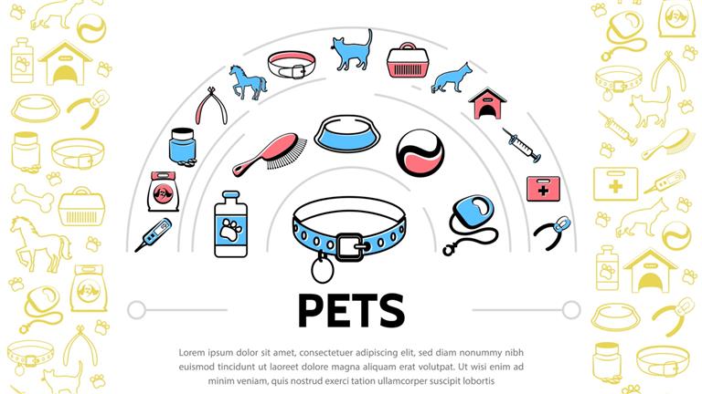 Nadiya Dog boarding, Pet Boarding, Dog Walking and Pet Sitting.
