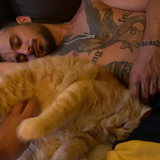 Jorge Pet hotel experience in real homes! 2