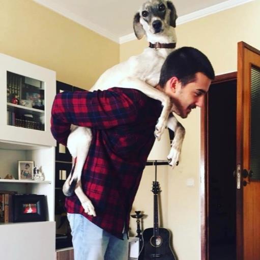 Jorge Pet hotel experience in real homes! 3