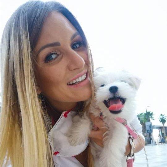 Arina Pet hotel experience in real homes! 1