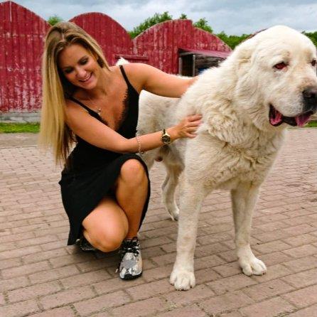 Arina Pet hotel experience in real homes! 2