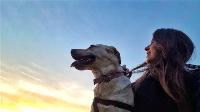 Maria Dog boarding, Pet Boarding, Dog Walking and Pet Sitting.