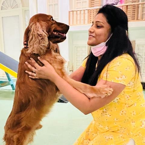 Reshma Pet hotel experience in real homes! 5