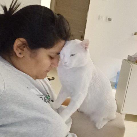 Hemanshi Pet hotel experience in real homes! 1