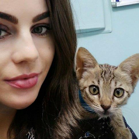 Elena Pet hotel experience in real homes! 1