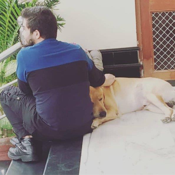 Himalaya Pet hotel experience in real homes! 3