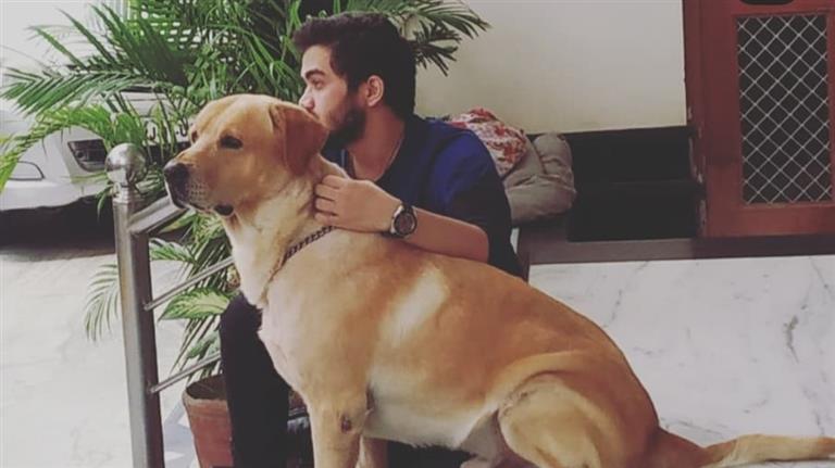 Himalaya Dog boarding, Pet Boarding, Dog Walking and Pet Sitting.