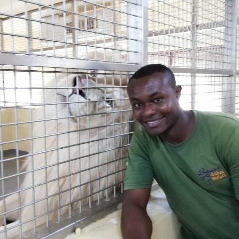 Daniel Pet hotel experience in real homes! 1