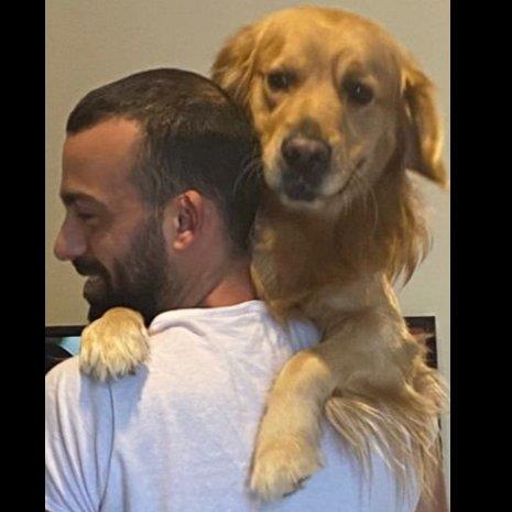 Rami Pet hotel experience in real homes! 3