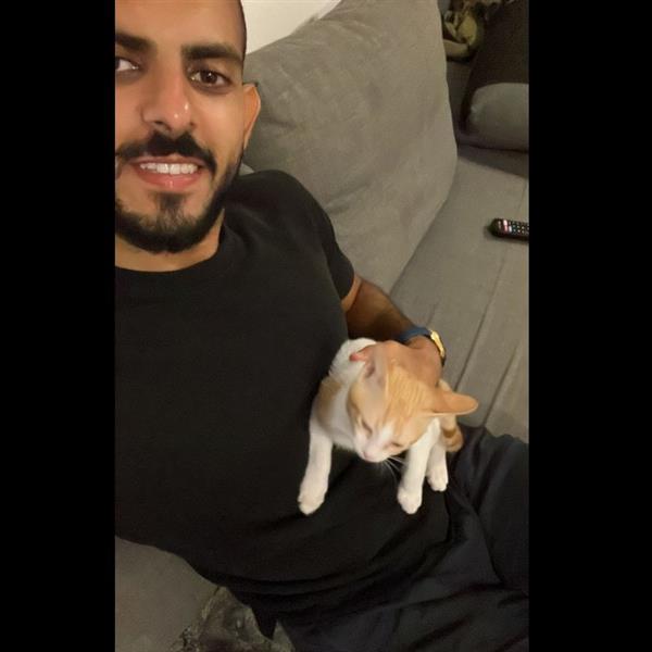 ahmed Pet hotel experience in real homes! 1