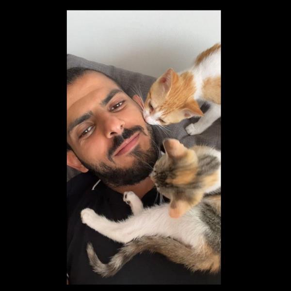 ahmed Pet hotel experience in real homes! 2